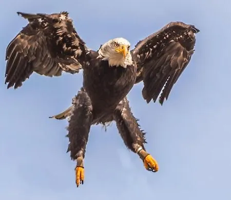 شقة Charlotte هورن باد مينبرغ