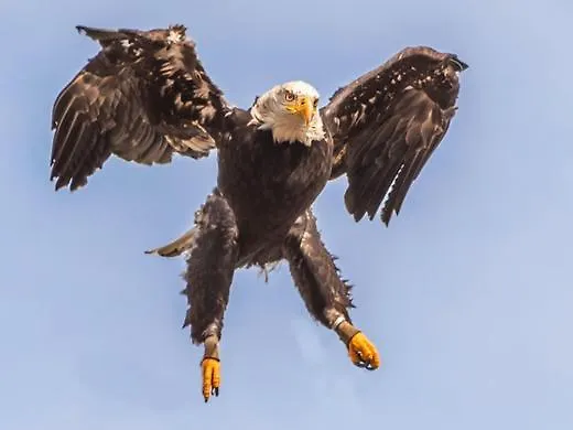 Appartement Charlotte Horn-Bad Meinberg